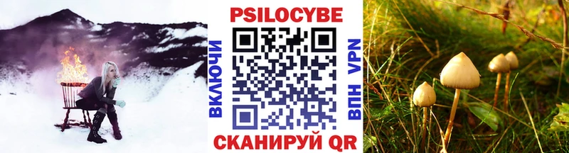 Псилоцибиновые грибы Cubensis  Купить  Новокузнецк 